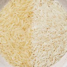 Rice